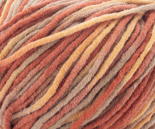 Ombre Worsted Yarn - Cinnamon & Peaches