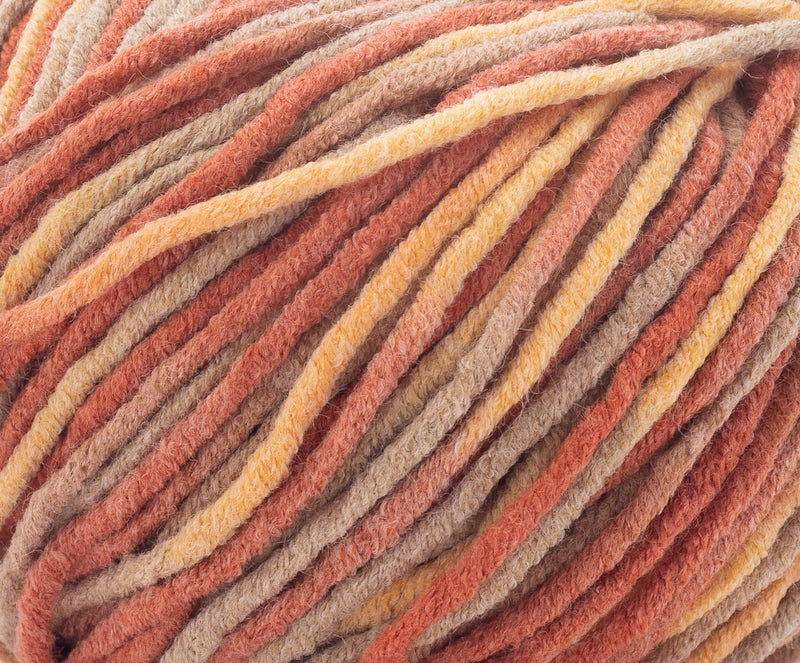 Ombre Worsted Yarn - Cinnamon & Peaches